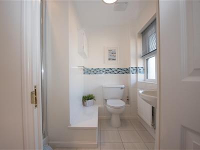 Picture 17